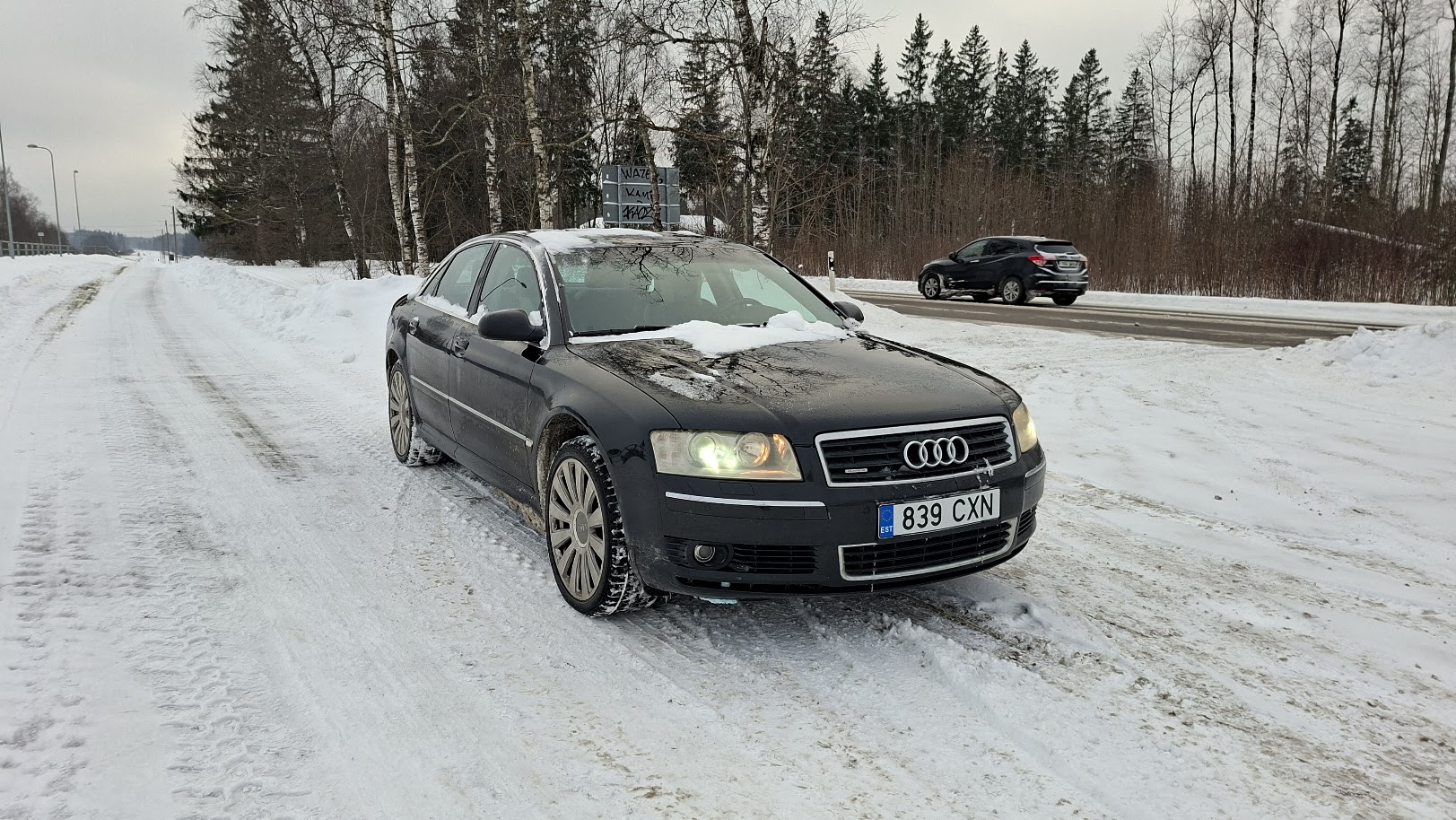 Esiletõstetud